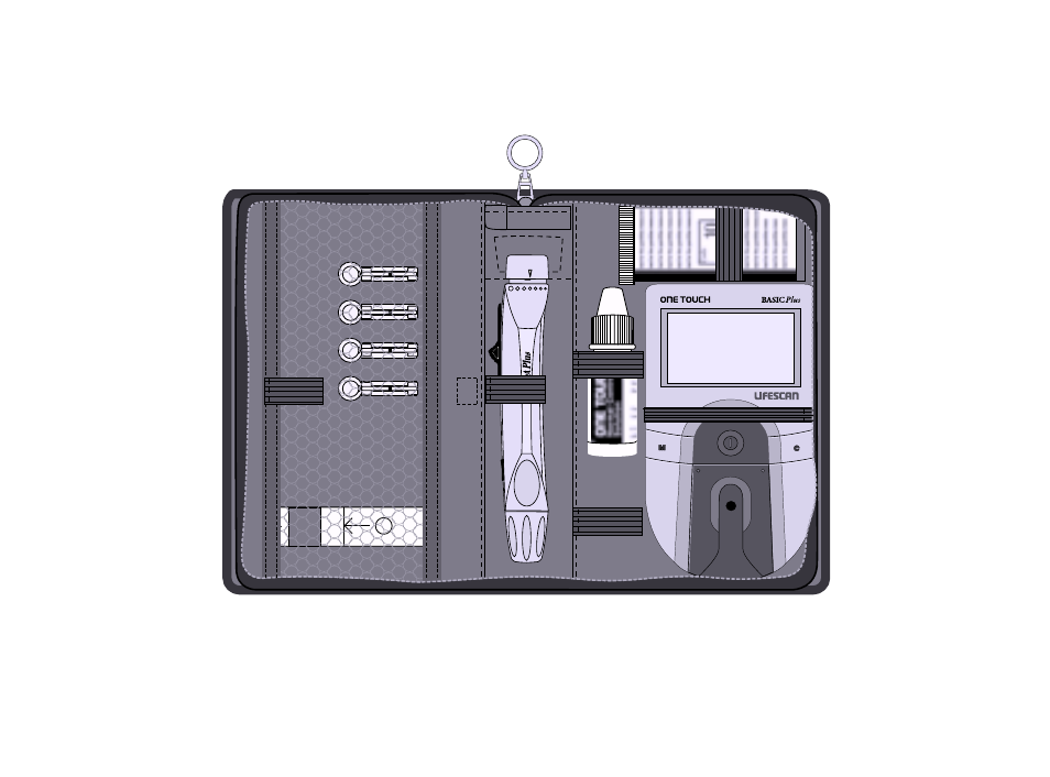 Lifescan One Touch Basic Plus Diabetes Monitoring System User Manual | Page 13 / 78