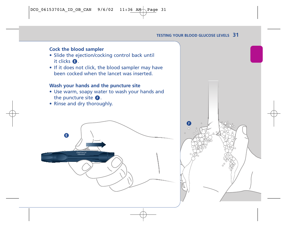 Lifescan In Duo User Manual | Page 31 / 90