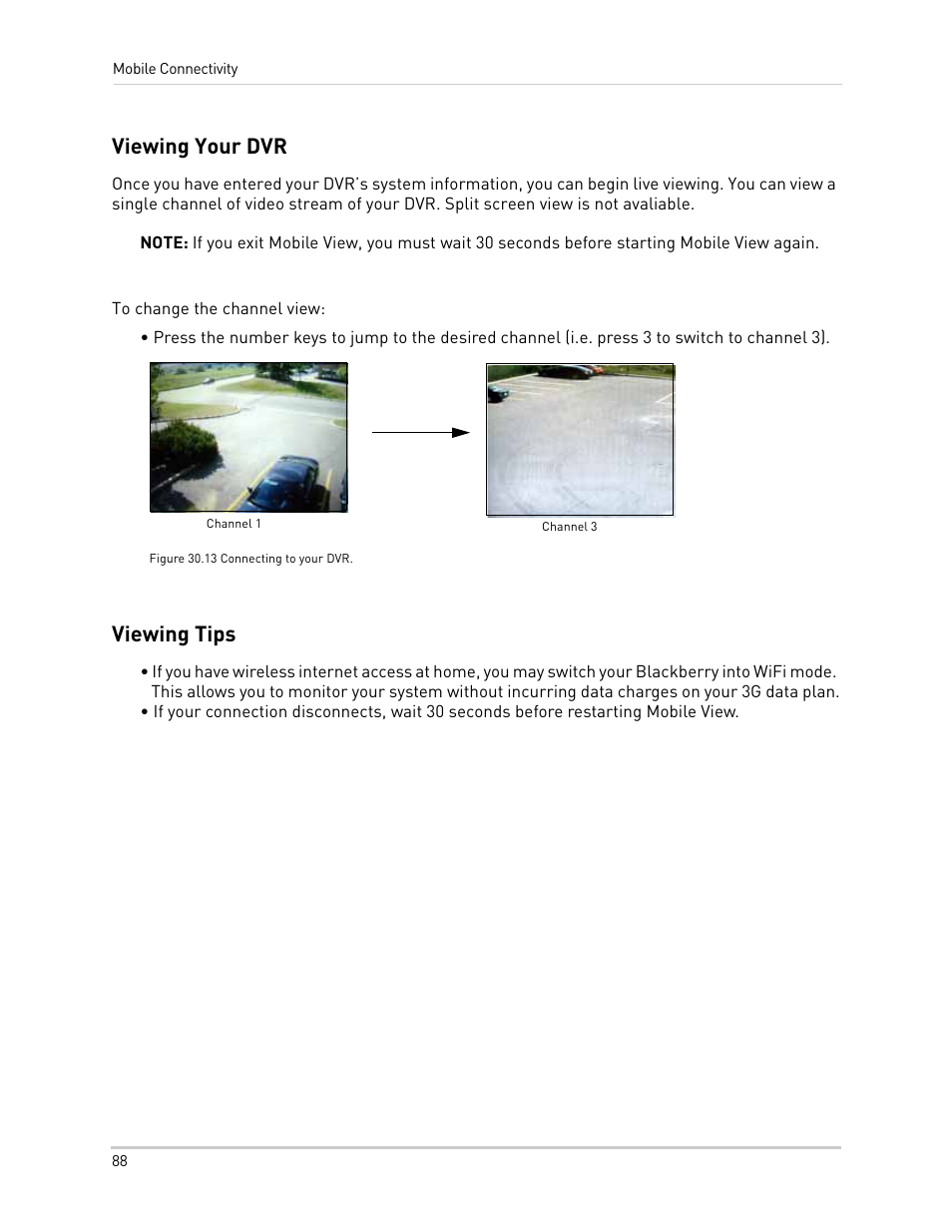 Viewing your dvr, Channel 1, Viewing tips | LOREX Technology NETWORK READY H.264 HIGH PERFORMANCE DIGITAL VIDEO SURVEILLANCE RECORDER LH300 Series User Manual | Page 102 / 130