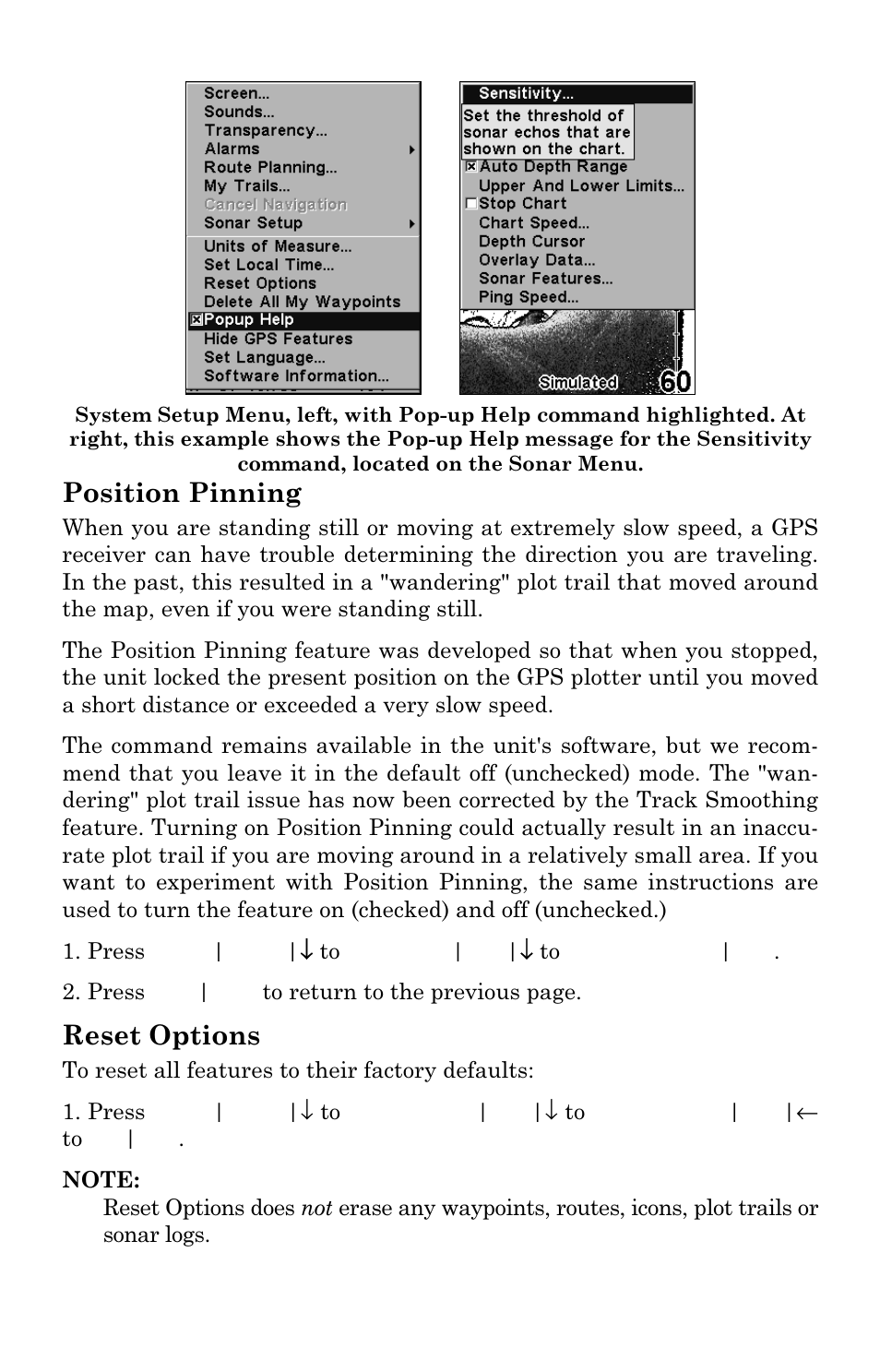 Position pinning, Reset options | Lowrance electronic LMS 335C DF User Manual | Page 172 / 216