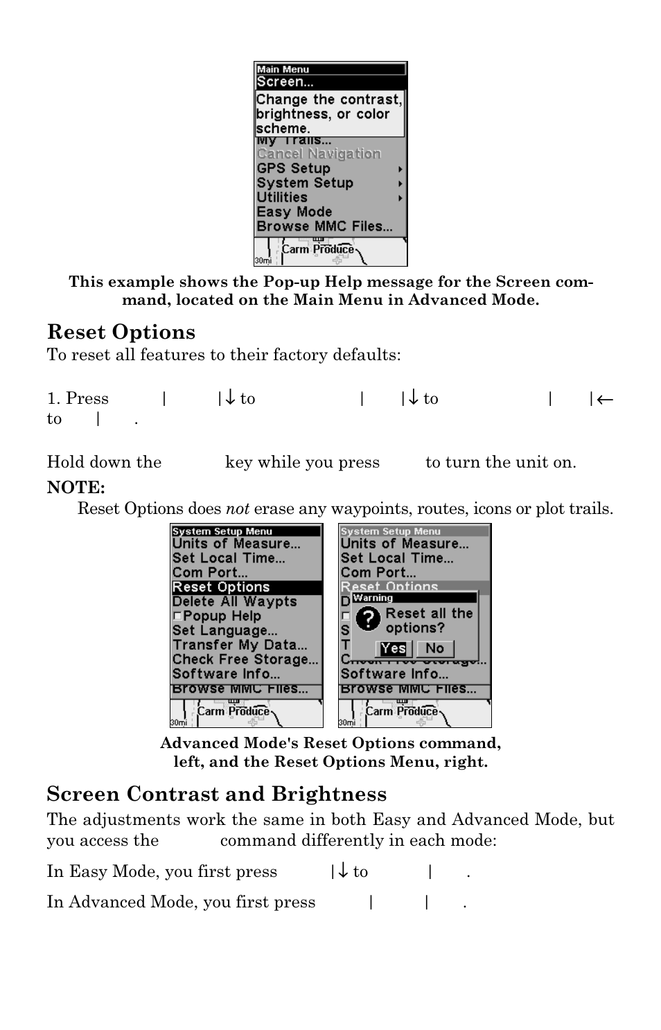 Reset options, Screen contrast and brightness | Lowrance electronic H2O User Manual | Page 86 / 124