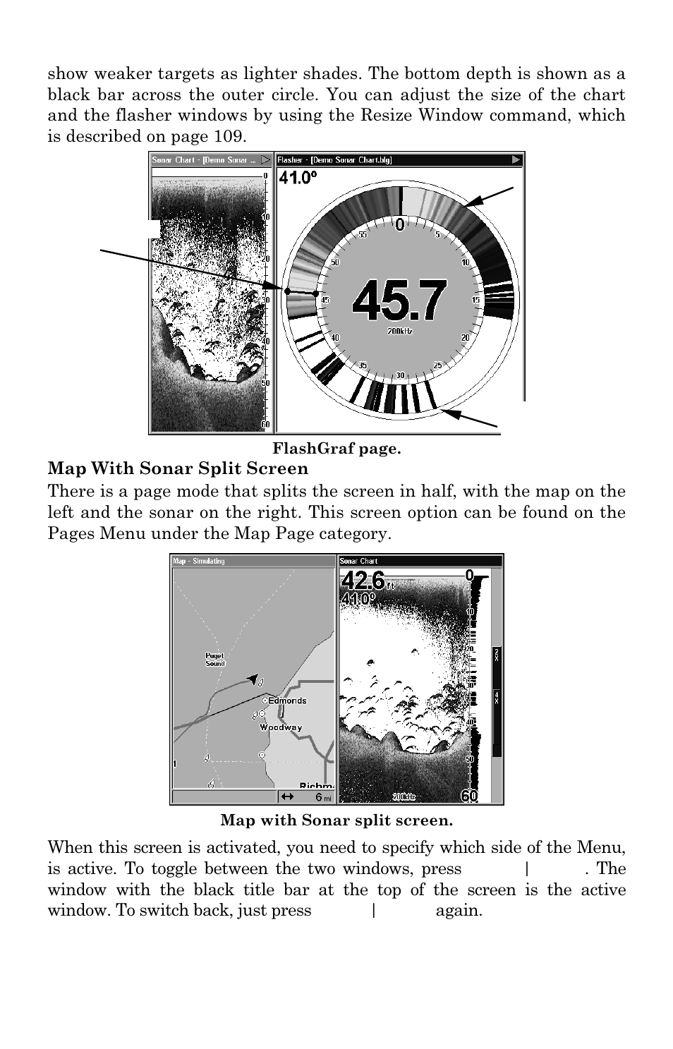 Lowrance electronic LCX-17M User Manual | Page 96 / 204