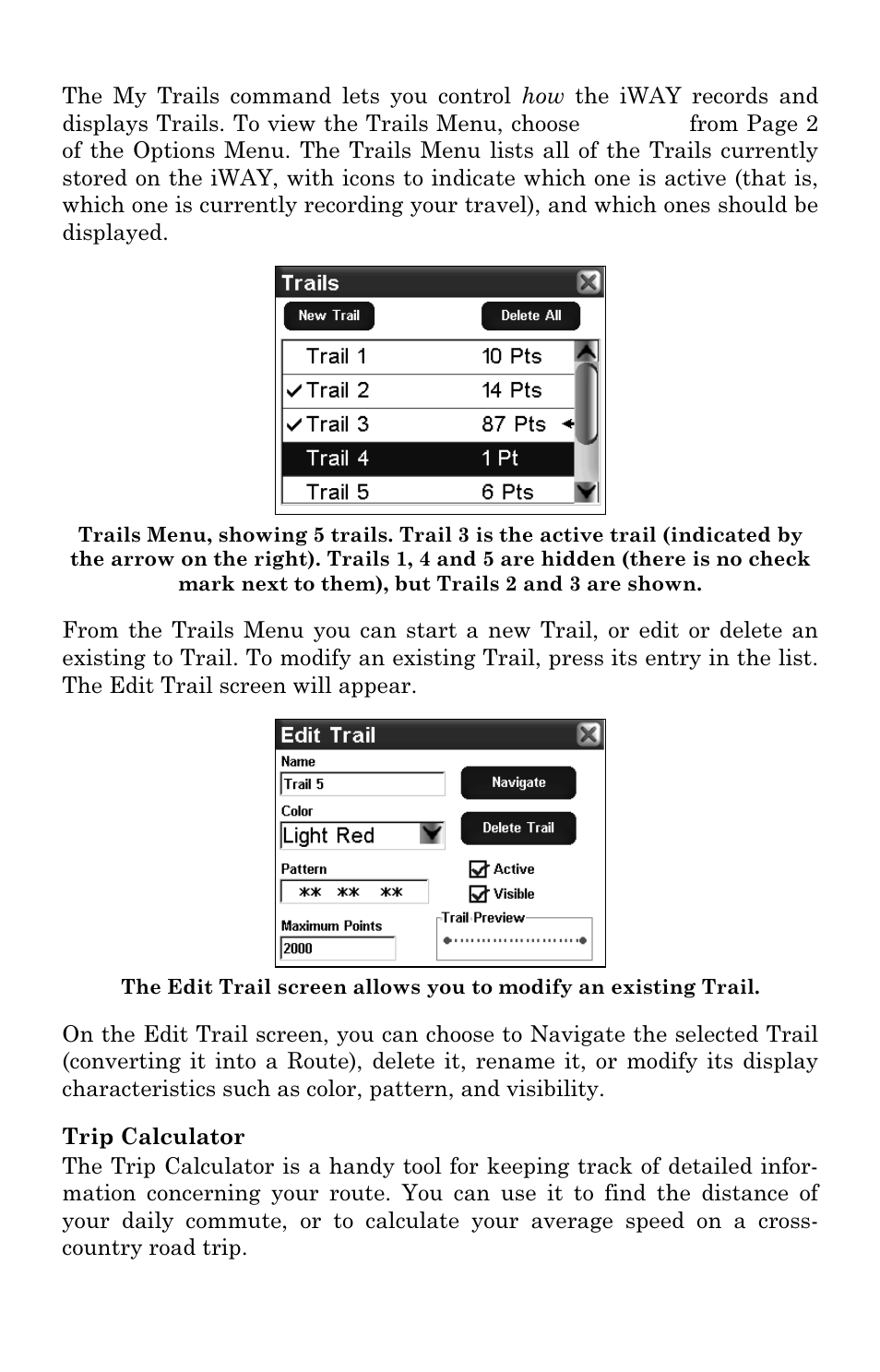 Lowrance electronic iWAY 350C User Manual | Page 41 / 76