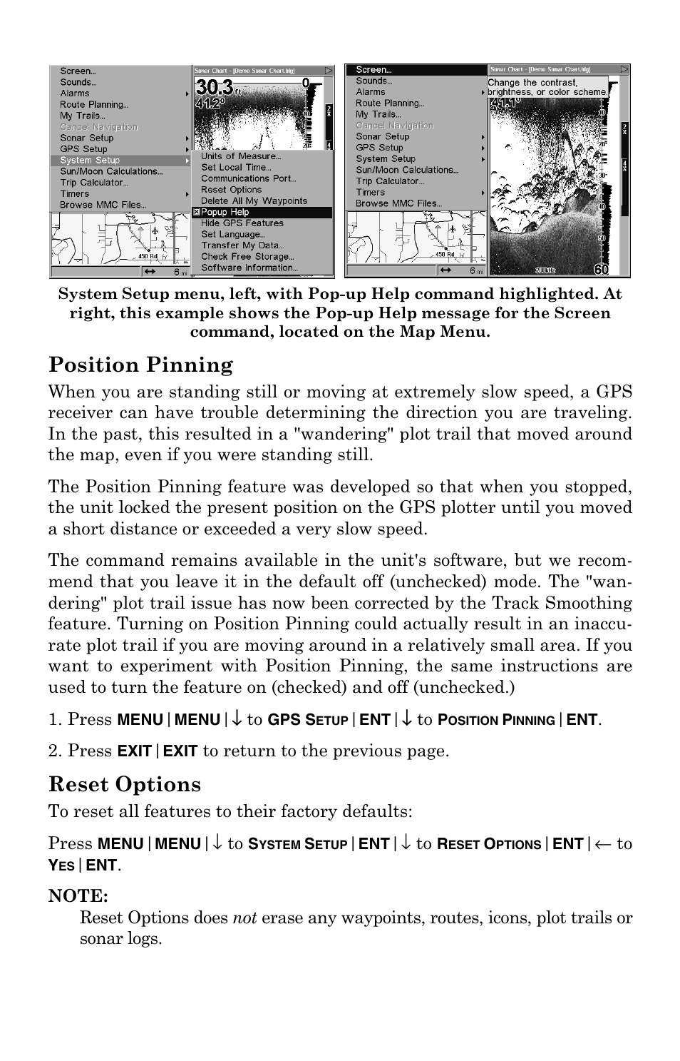 Position pinning, Reset options, Position pinning reset options | Lowrance electronic LCX-104C User Manual | Page 165 / 200