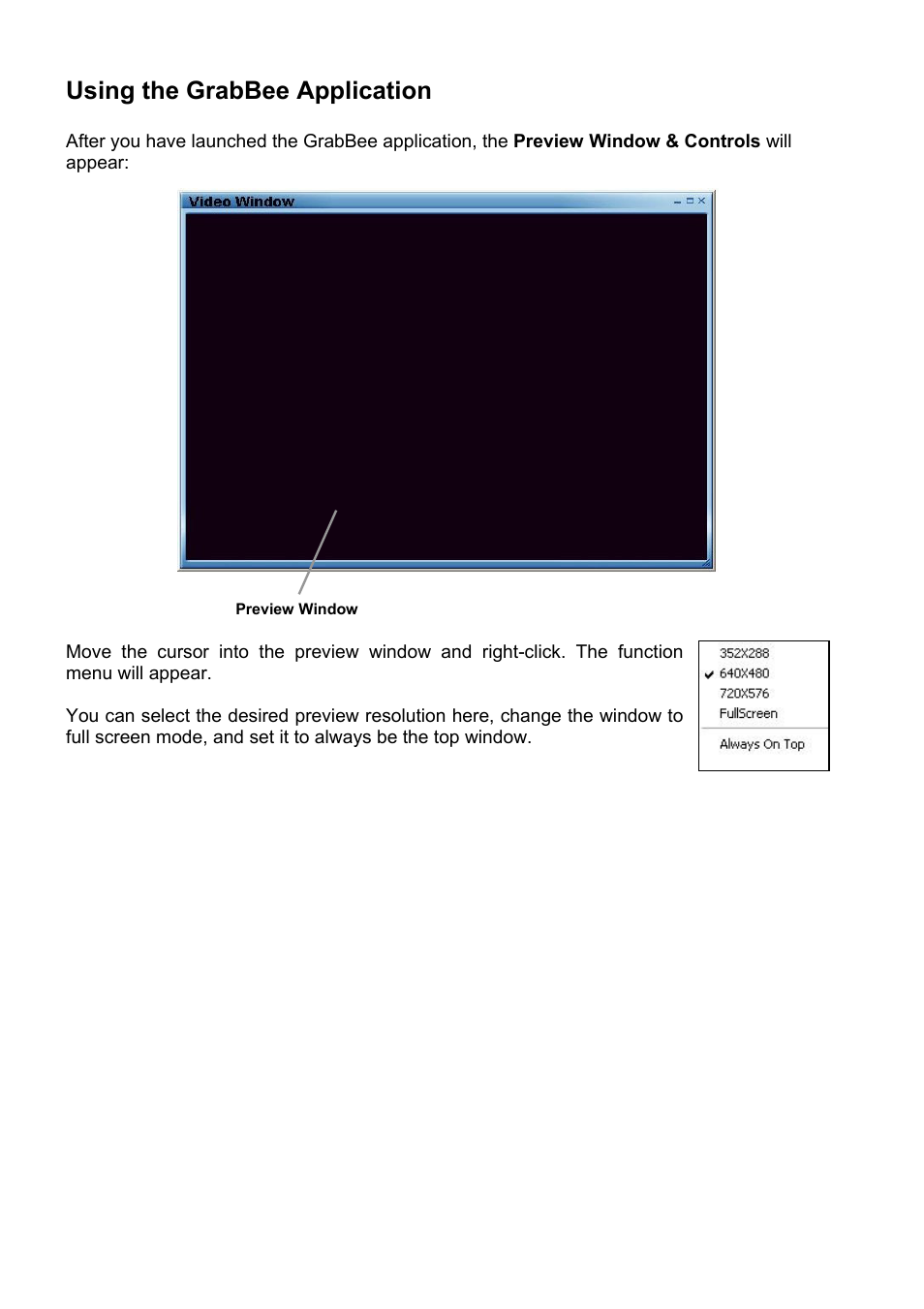 Using the grabbee application | Lindy 42960 User Manual | Page 6 / 12