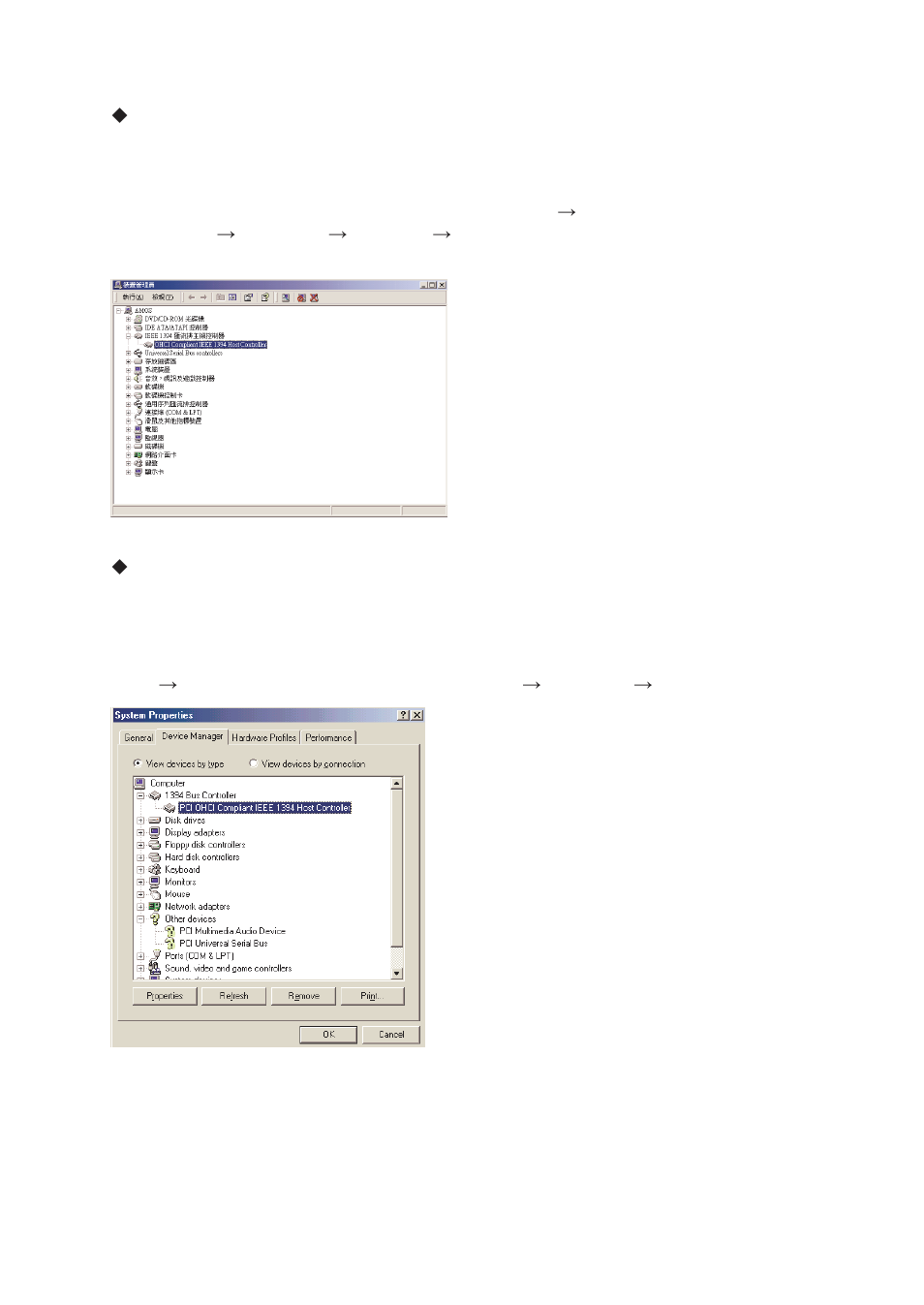 Lindy AGERE IEEE 1394 70914 User Manual | Page 5 / 9
