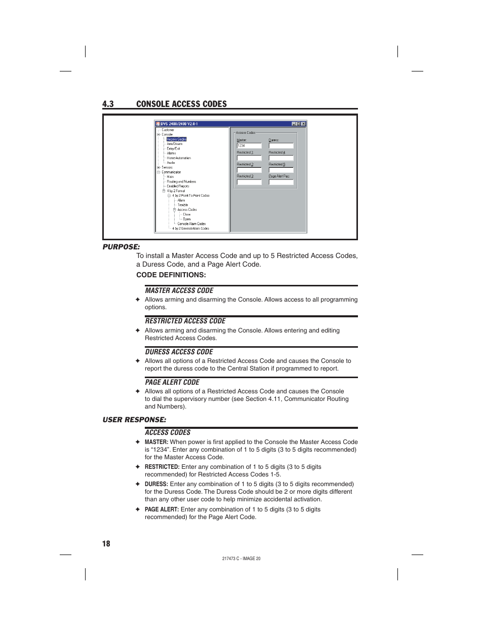 3 console access codes | Linear REMOTE ACCESS SOFTWARE DVS-1200 User Manual | Page 20 / 48