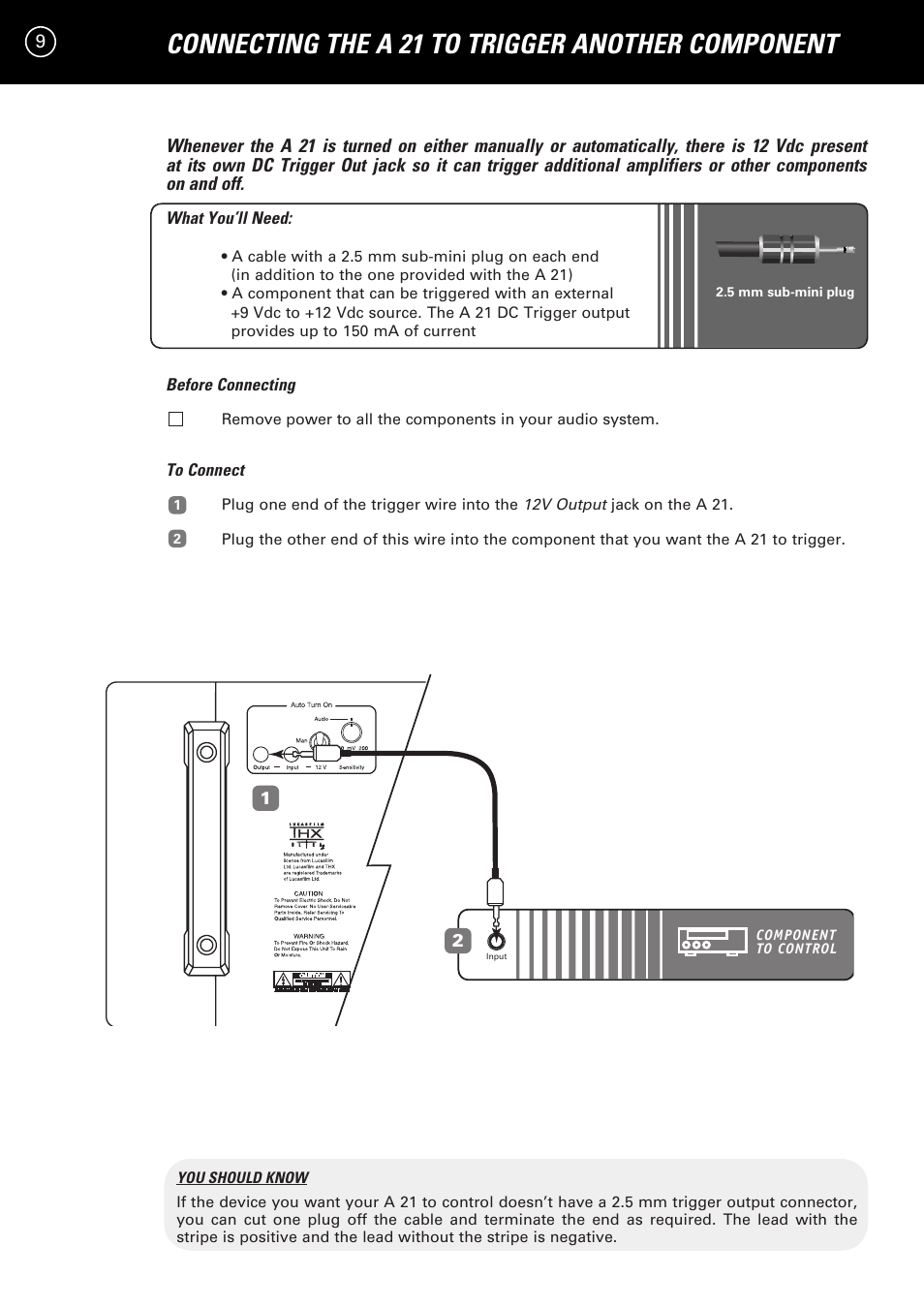 Connecting the a 21 to trigger another component | Parasound A 21 User Manual | Page 12 / 23