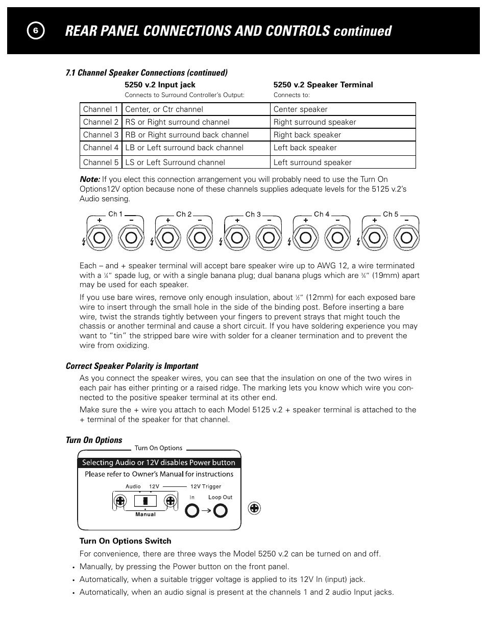 Rear panel connections and controls continued | Parasound 5250 V.2 User Manual | Page 8 / 16