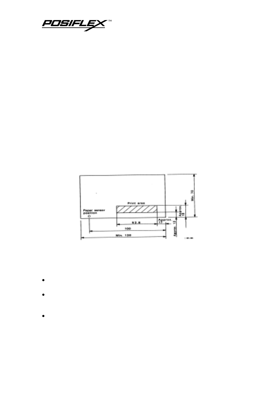 Printing format, Data format, Paper format | Other considerations | POSIFLEX Business Machines PP3000 User Manual | Page 22 / 54
