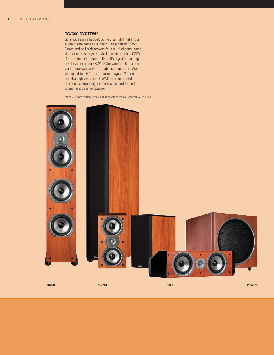 Polk Audio TSi Series User Manual | Page 6 / 12