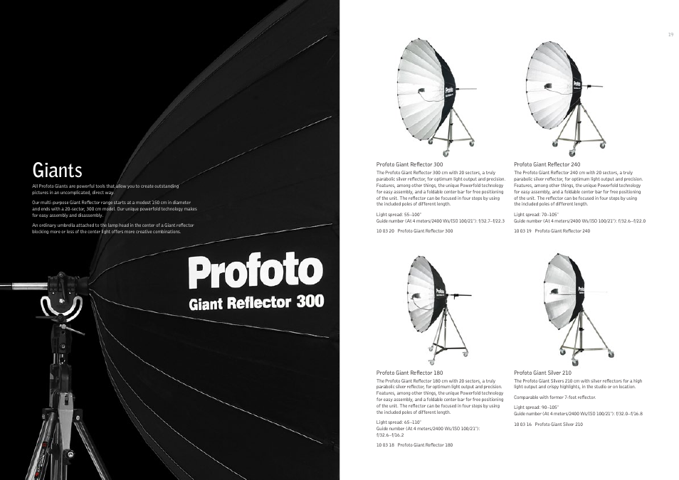 Giants | Profoto 250 W User Manual | Page 10 / 31