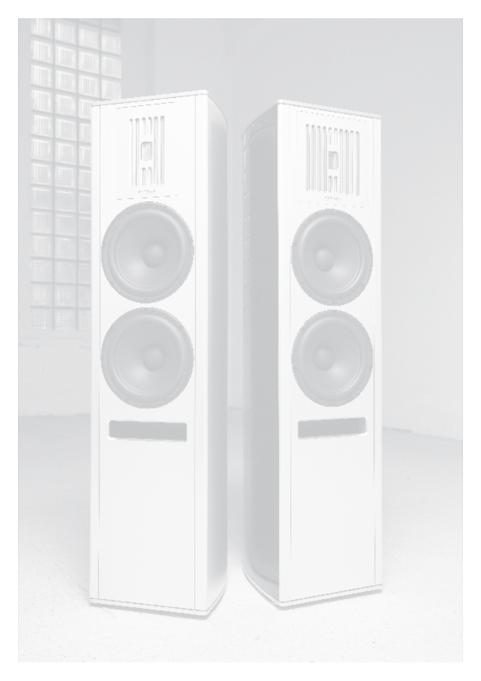 Piega Portable Loudspeaker 2008 User Manual | Page 8 / 32