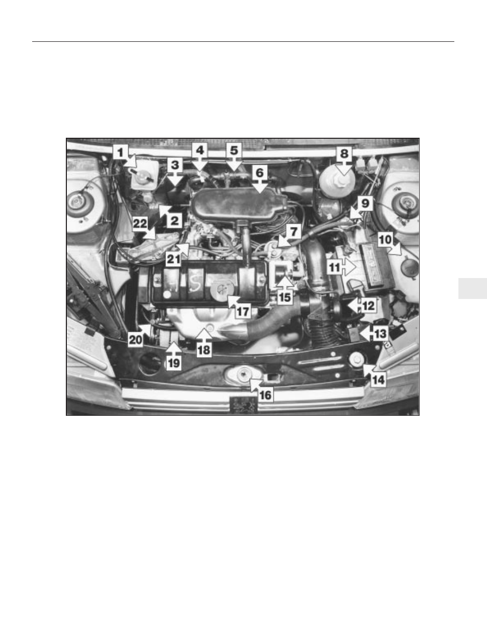 Maintenance - component location | Peugeot 205 User Manual | Page 21 / 249