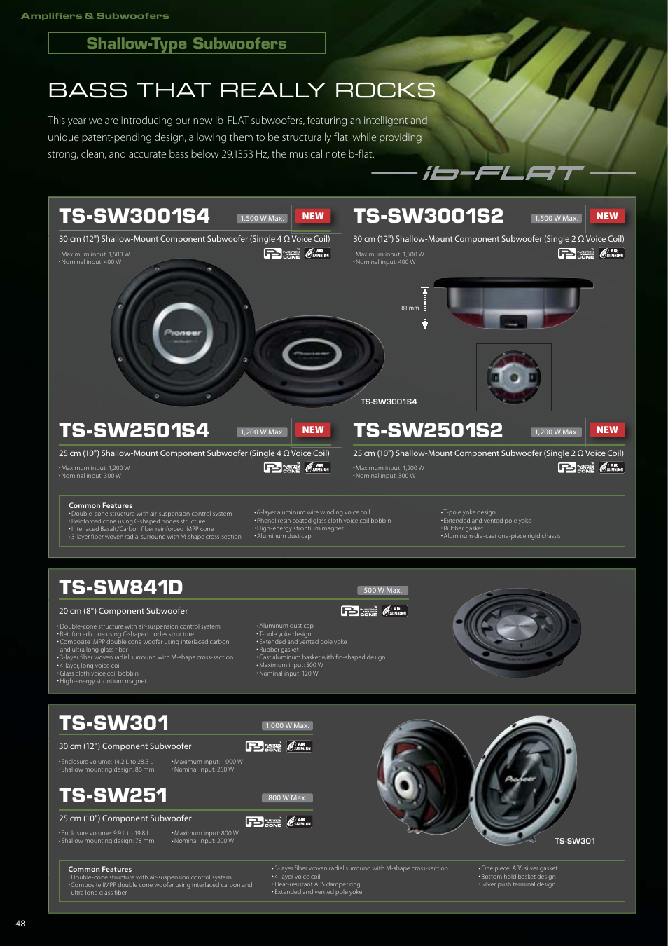 Bass that really rocks, Ts-sw301, Ts-sw251 | Ts-sw841d, Shallow-type subwoofers | Pioneer DEH-P7150UB User Manual | Page 48 / 64