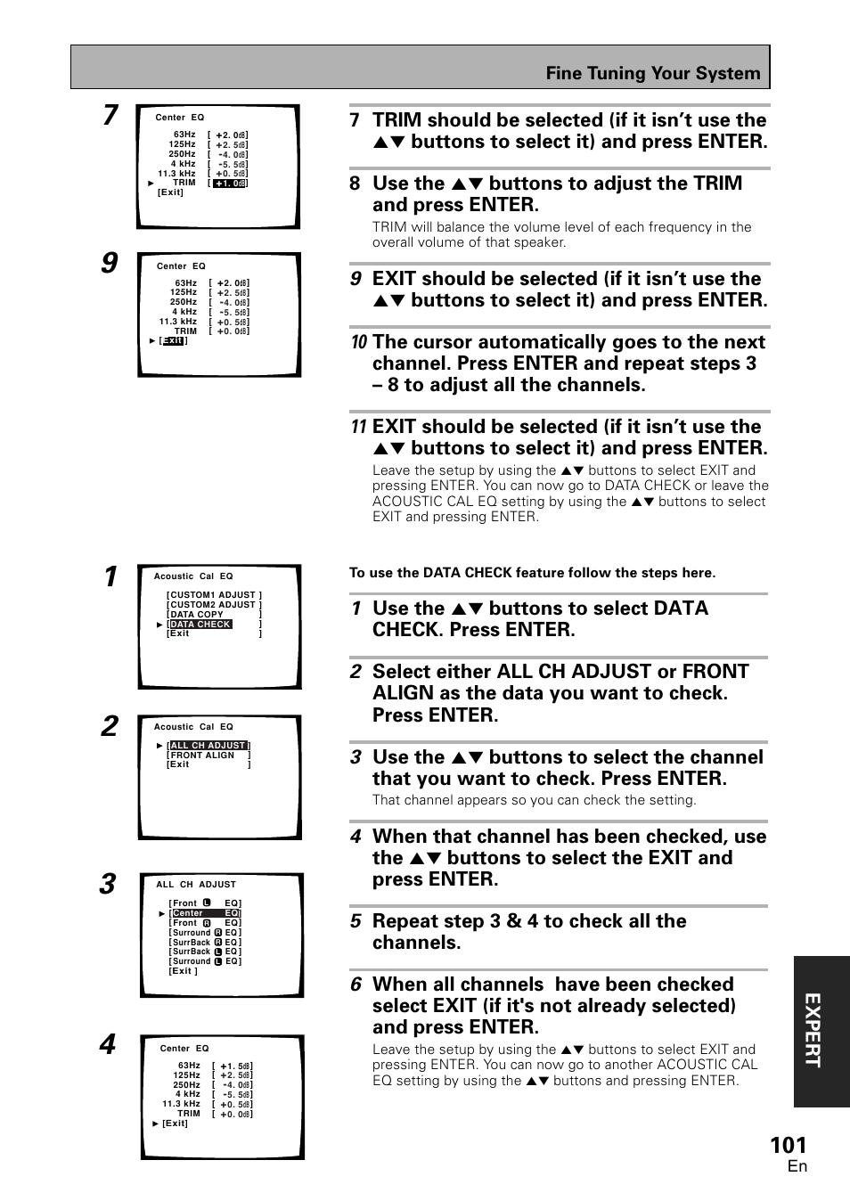 Exper t, Fine tuning your system | Pioneer VSX-D2011-G User Manual | Page 101 / 120