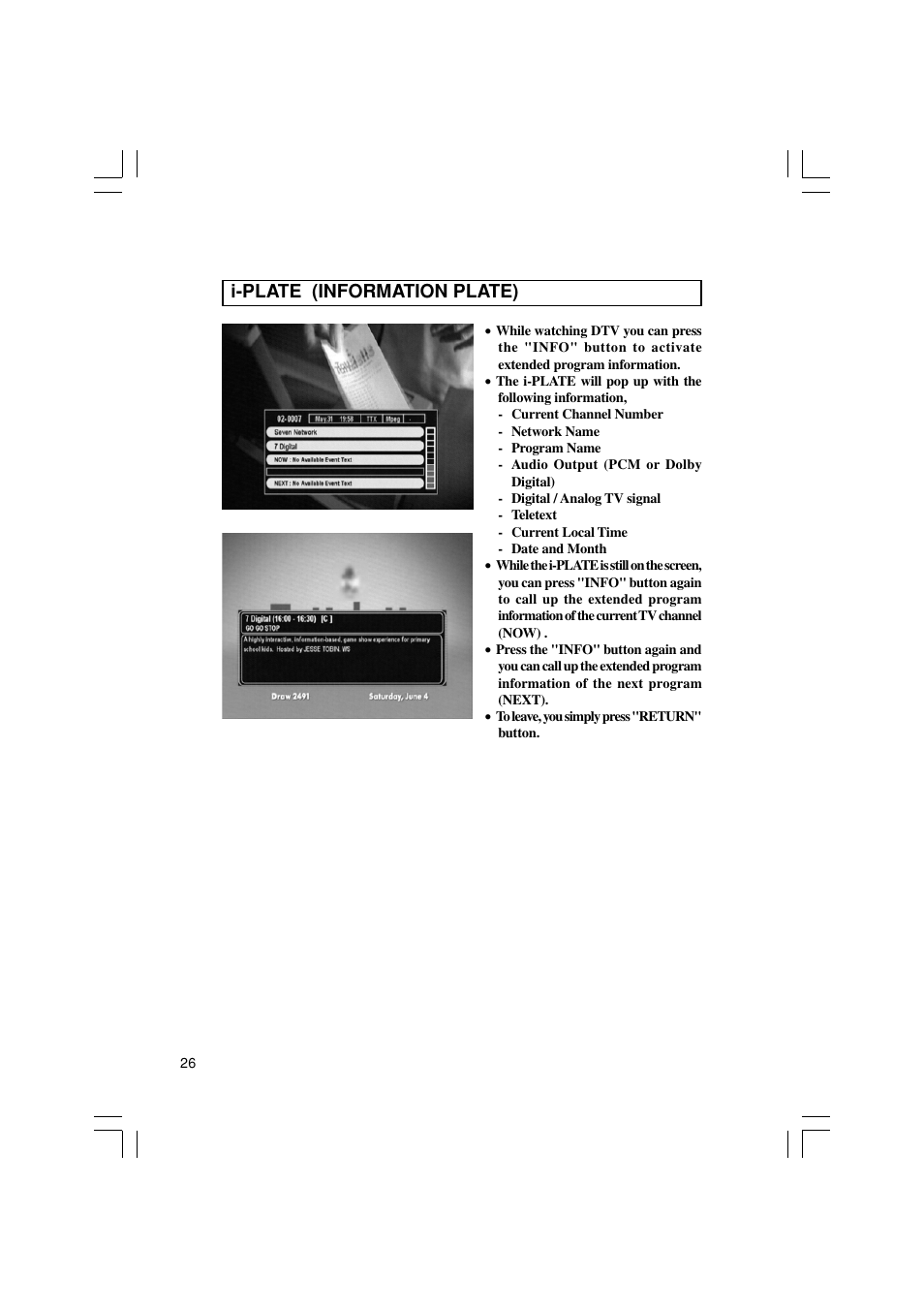 I-plate (information plate) | Pioneer SH-DT510 User Manual | Page 26 / 38