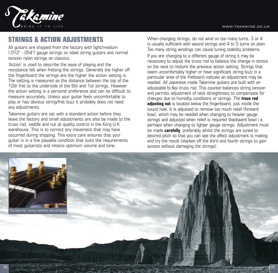 Strings & action adjustments | Pioneer CT4-B User Manual | Page 5 / 12