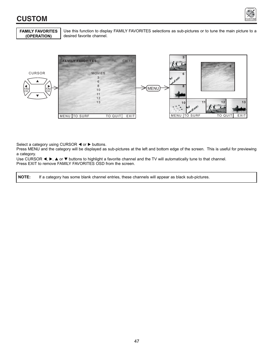 Custom | Pioneer 53SBX59B User Manual | Page 47 / 72