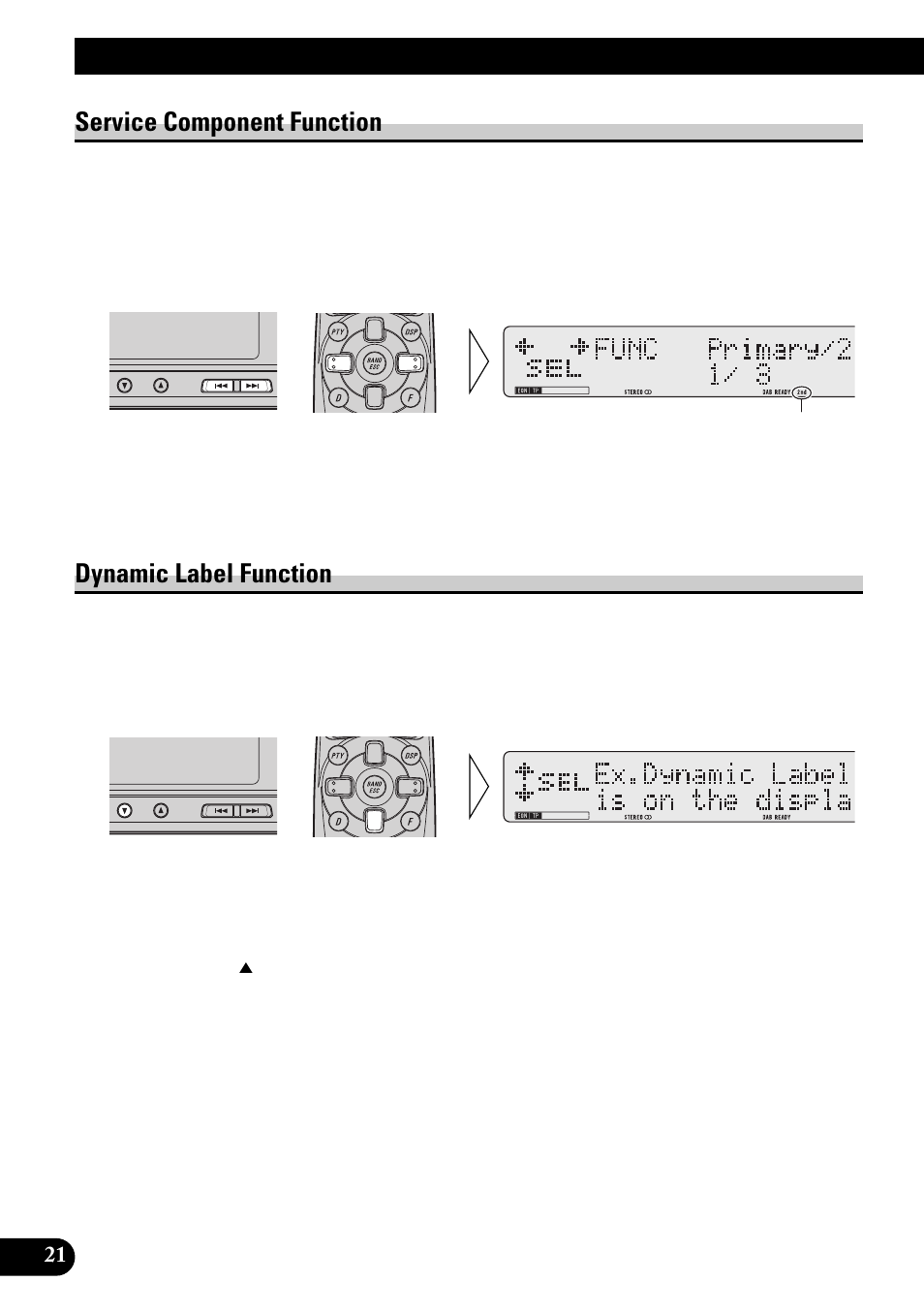 Service component function, Dynamic label function, Using the dab functions | Pioneer GEX-P900DAB User Manual | Page 22 / 88