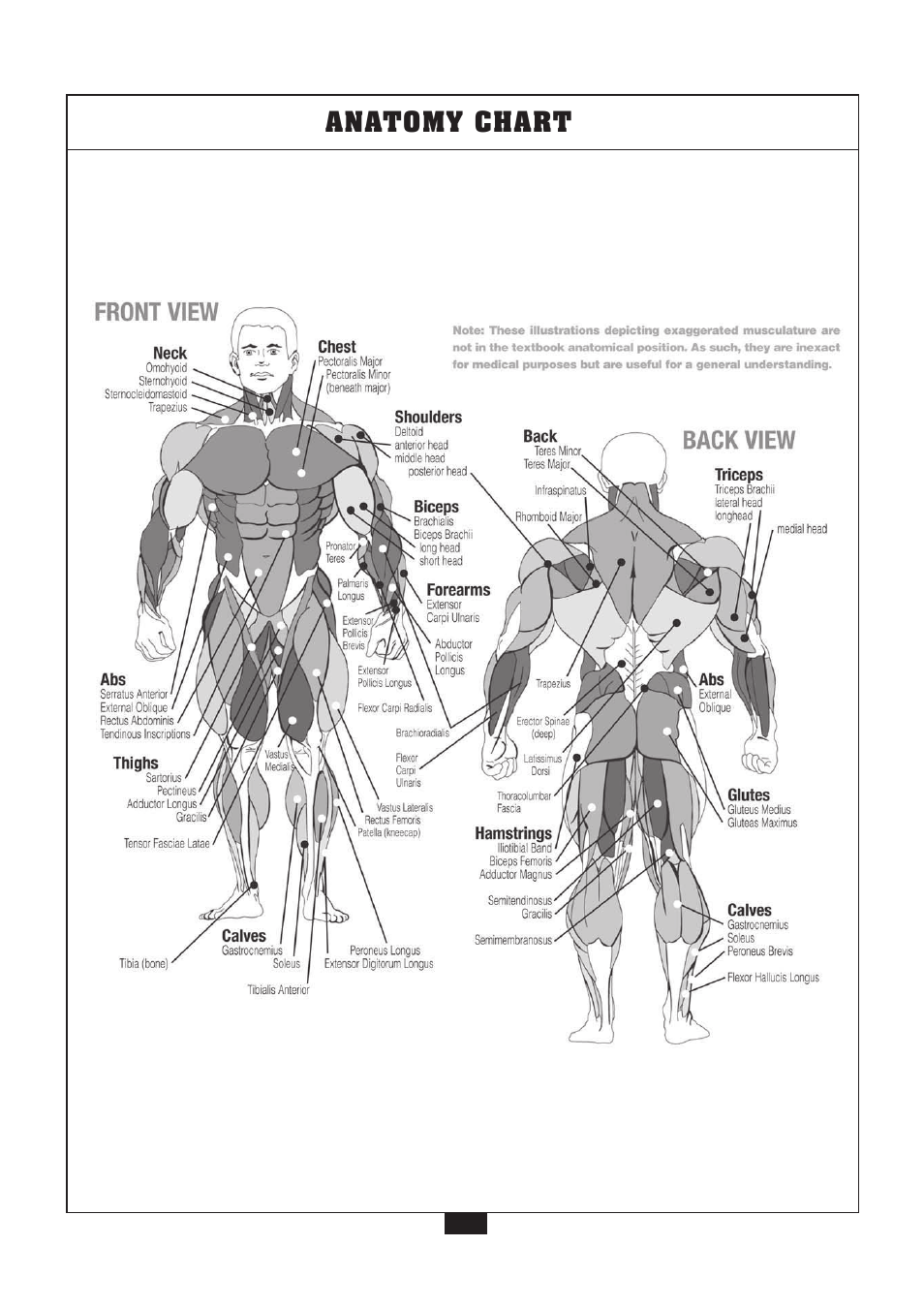 Anatomy chart | Powerline P2X User Manual | Page 47 / 65