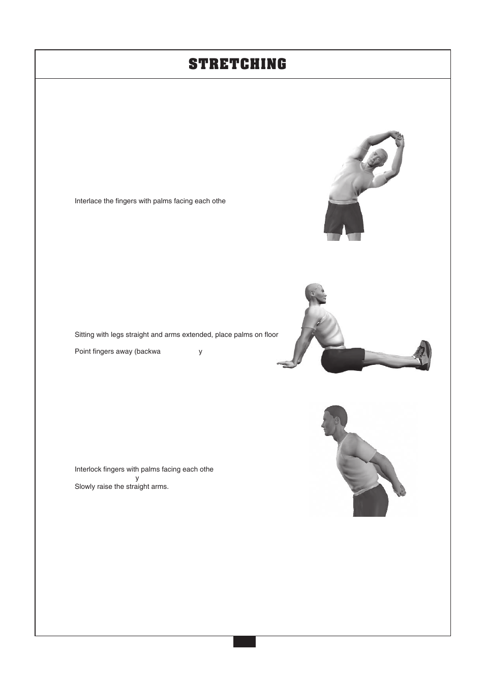 Sides, Shoulder, Chest | Stretching | Powerline P2X User Manual | Page 54 / 65