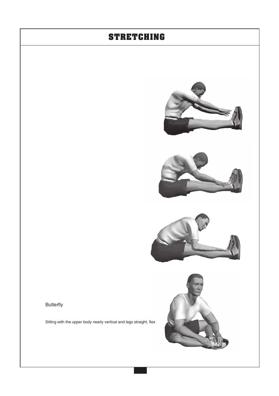 Posterior of thigh, Groin, Stretching | Powerline P2X User Manual | Page 55 / 65