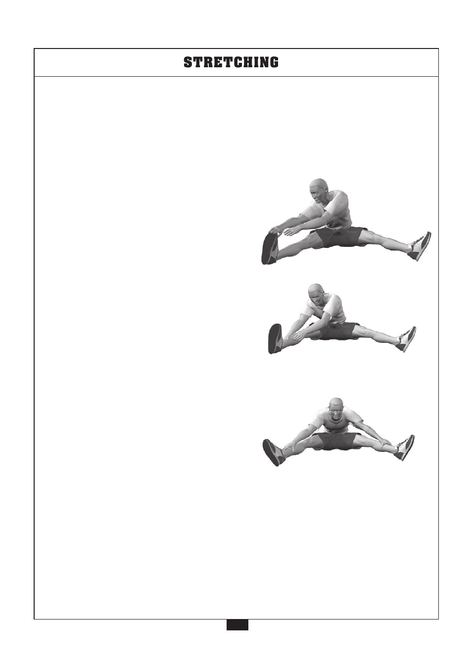 Groin, Stretching | Powerline P2X User Manual | Page 56 / 65