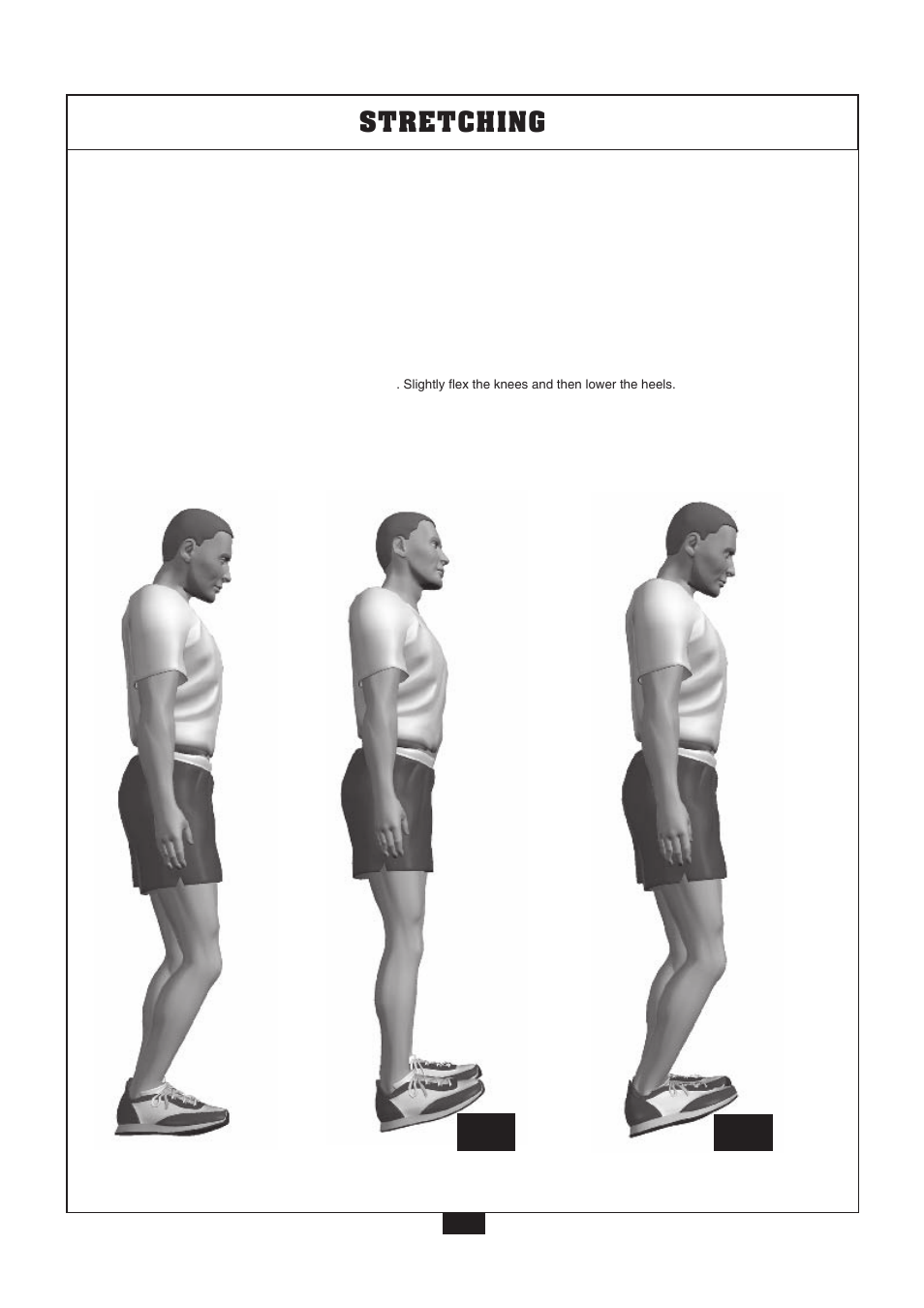 Posterior of lower leg, Stretching | Powerline P2X User Manual | Page 57 / 65