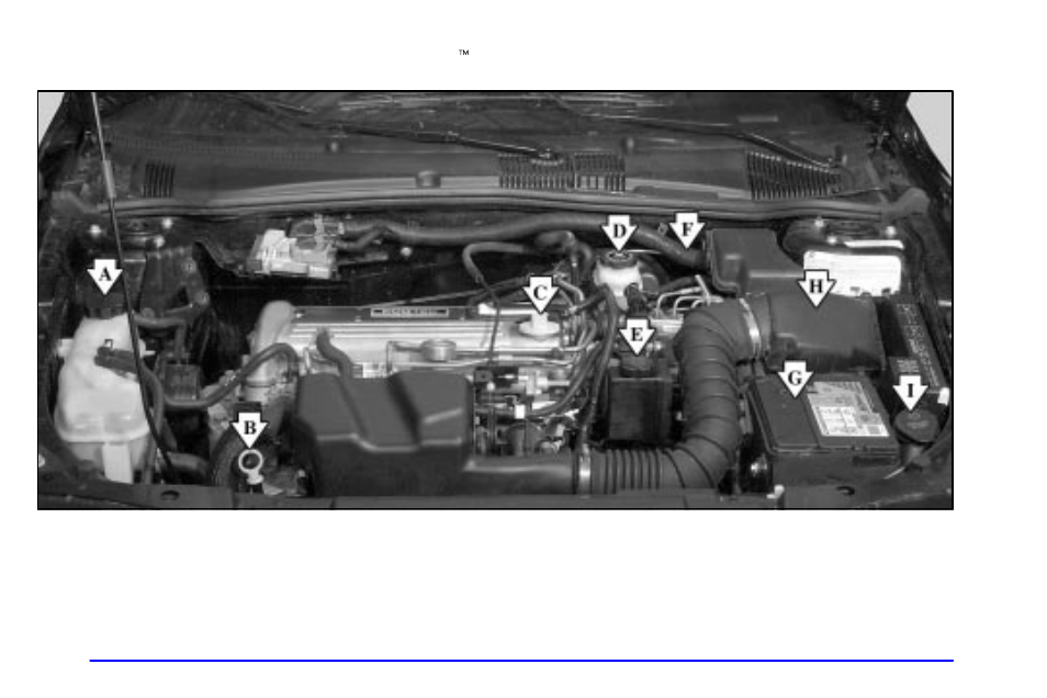 Pontiac 2002 Sunfire User Manual | Page 239 / 343