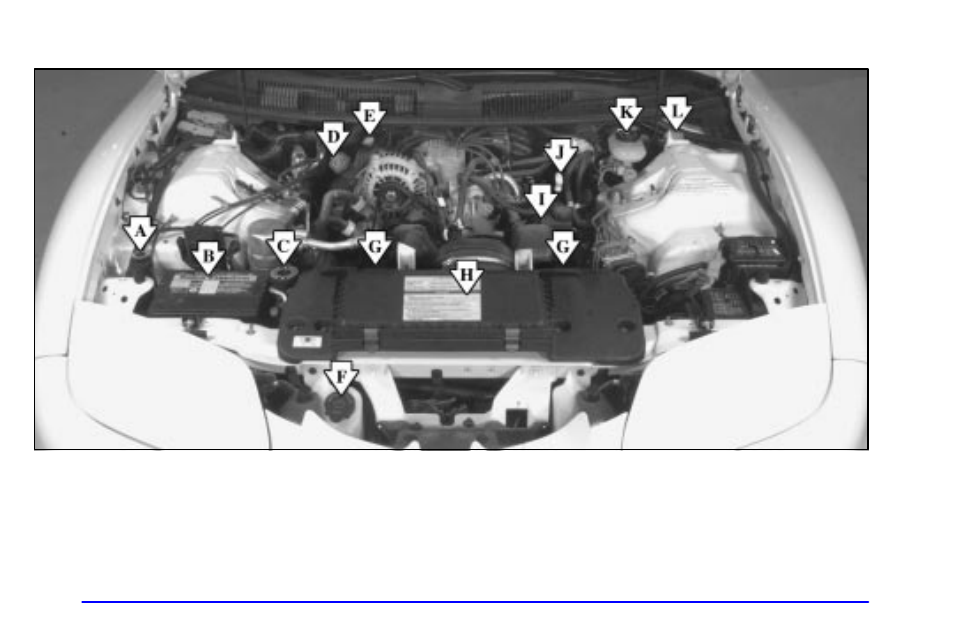 Pontiac 1999 Firebird User Manual | Page 258 / 376