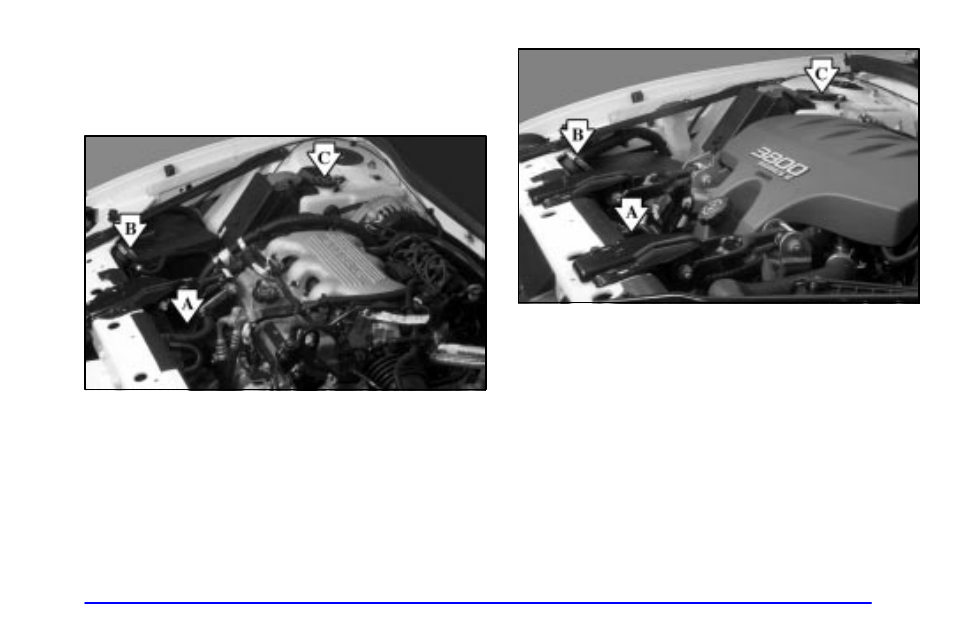 Cooling system | Pontiac Grand Prix 2001 User Manual | Page 239 / 373