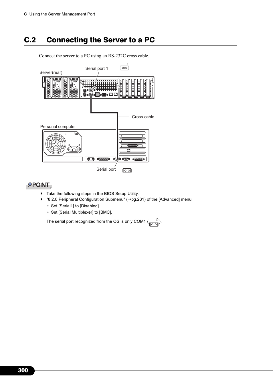 C.2 connecting the server to a pc | Primera Technology Fujitsu Tape Drive RX300 S2 User Manual | Page 300 / 311