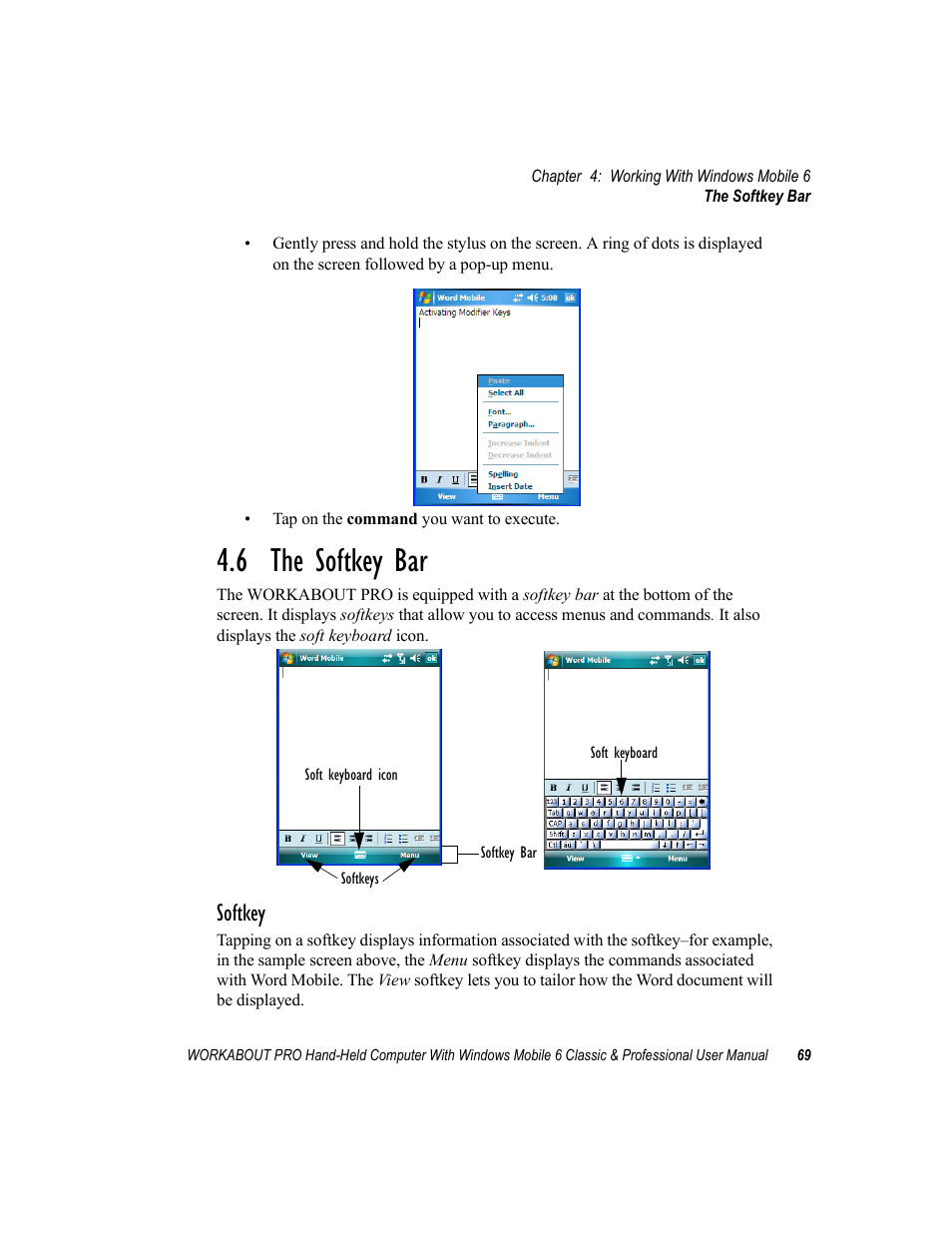 6 the softkey bar, Softkey | Psion Teklogix ISO 9001 User Manual | Page 87 / 360