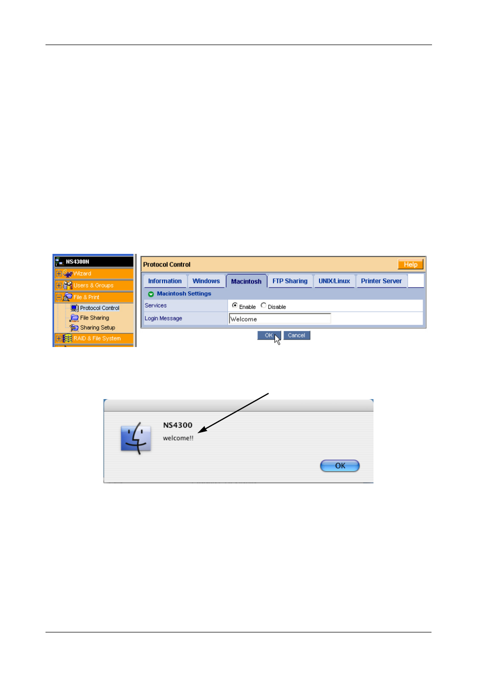 Setting up a network drive on a macintosh pc, In pasm | Promise Technology SMARTSTOR NS4300N User Manual | Page 45 / 218