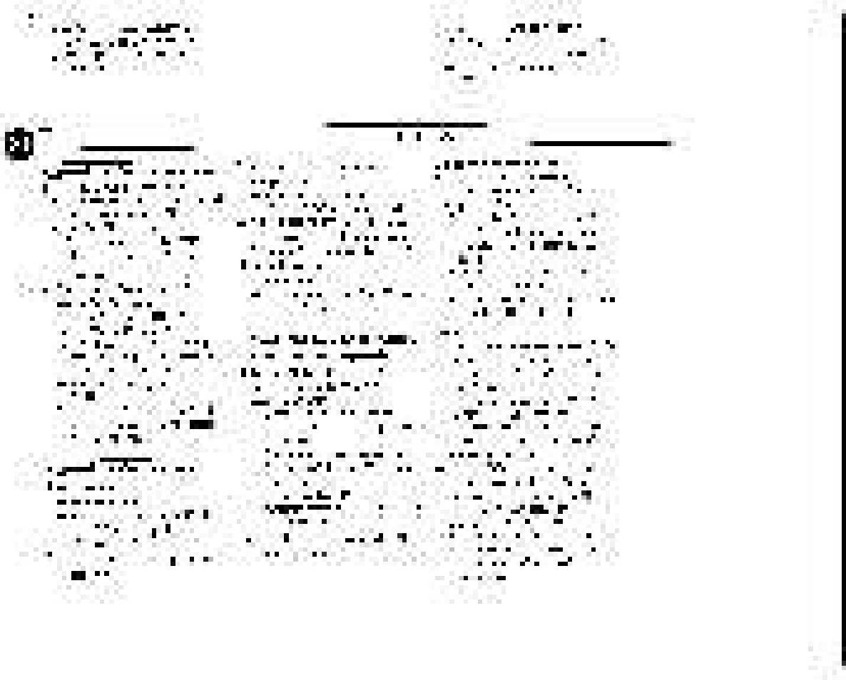 Philips FWC380 User Manual | Page 104 / 180