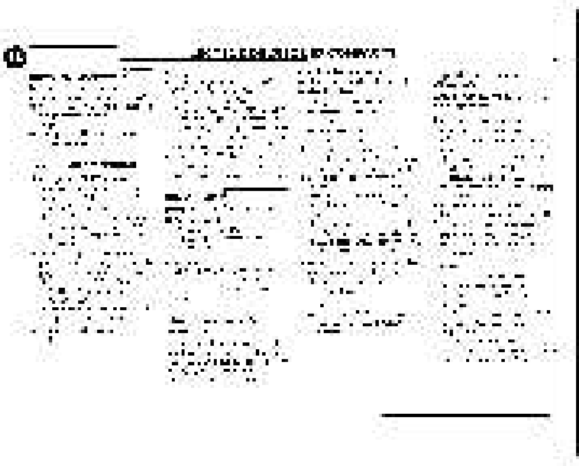 Philips FWC380 User Manual | Page 158 / 180