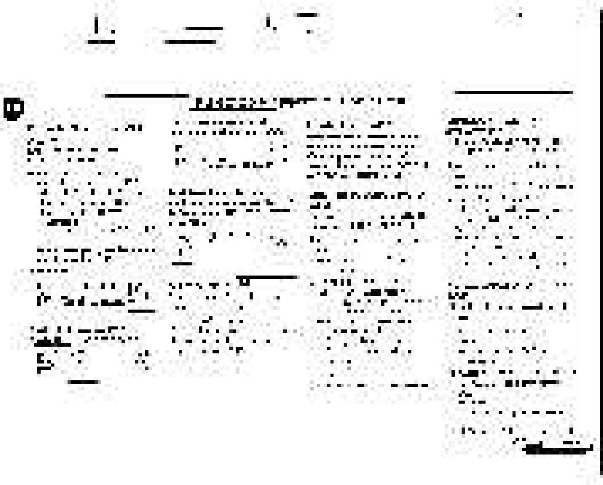 Philips FWC380 User Manual | Page 90 / 180