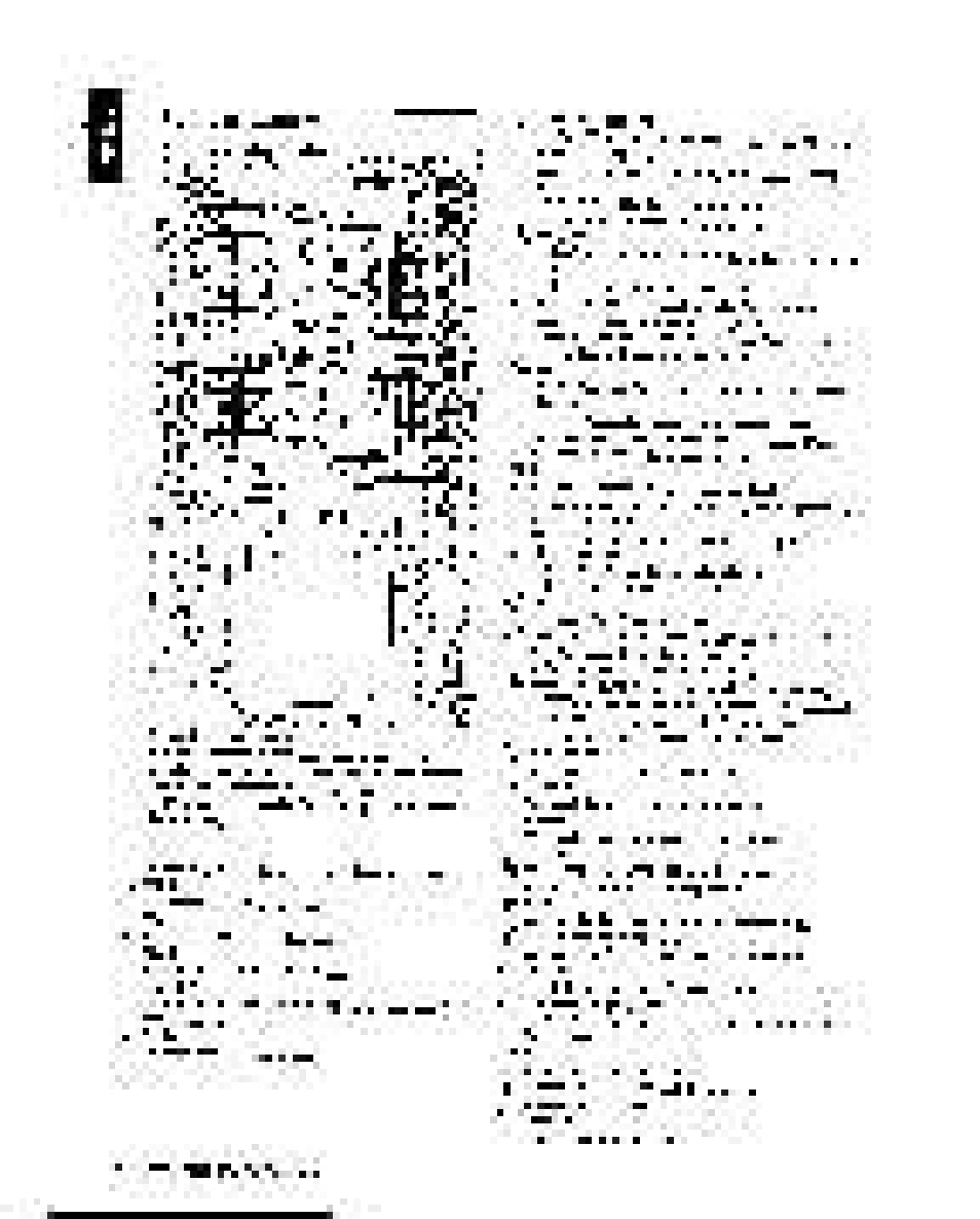 Philips MX1055D37 User Manual | Page 16 / 42