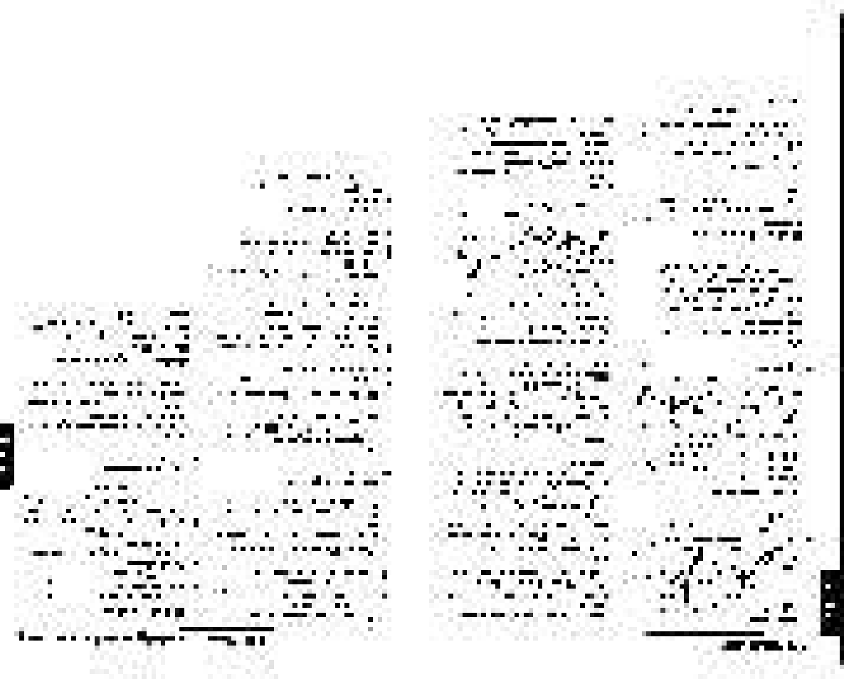 Philips FW-C700 User Manual | Page 20 / 52