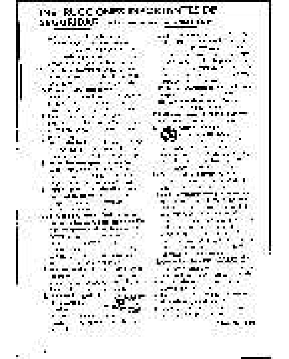 Philips FW-C500 User Manual | Page 115 / 161