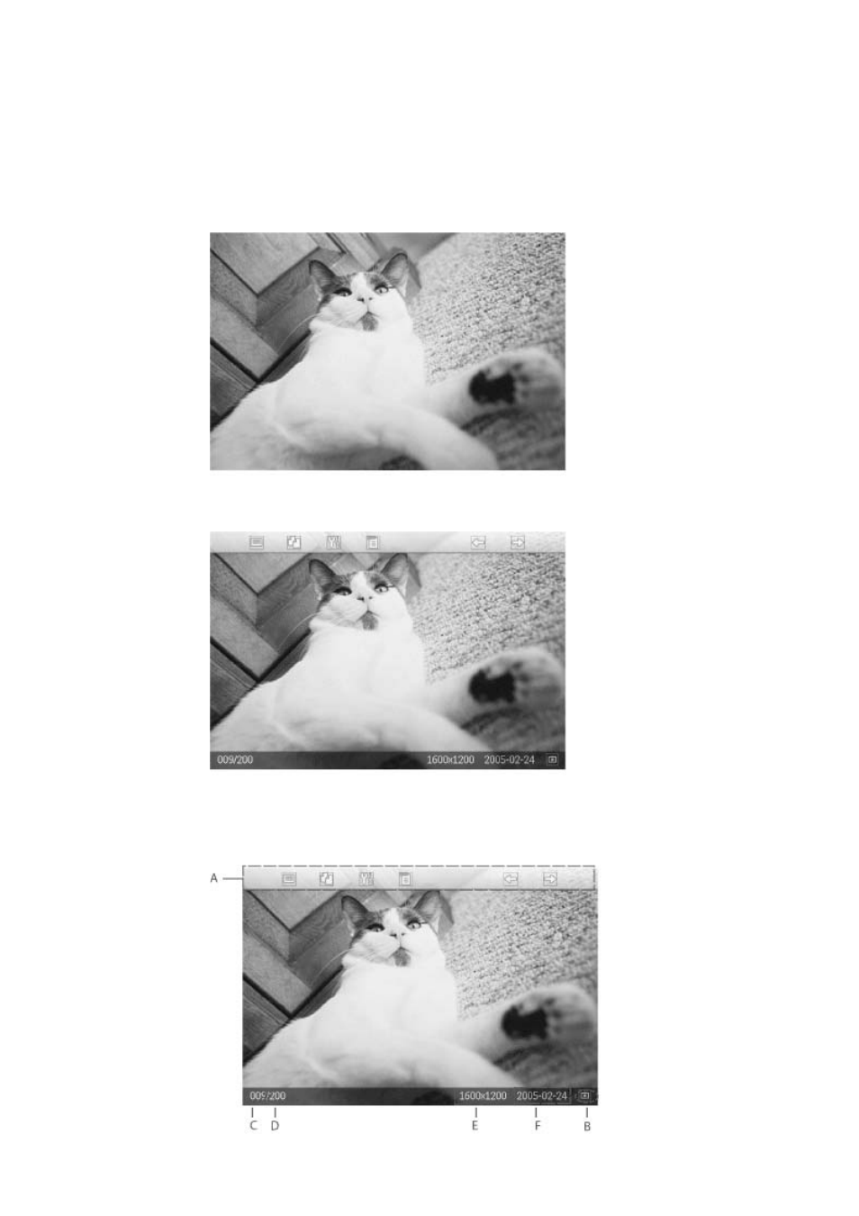 Philips PHOTOFRAME 7FF1CME User Manual | Page 9 / 50