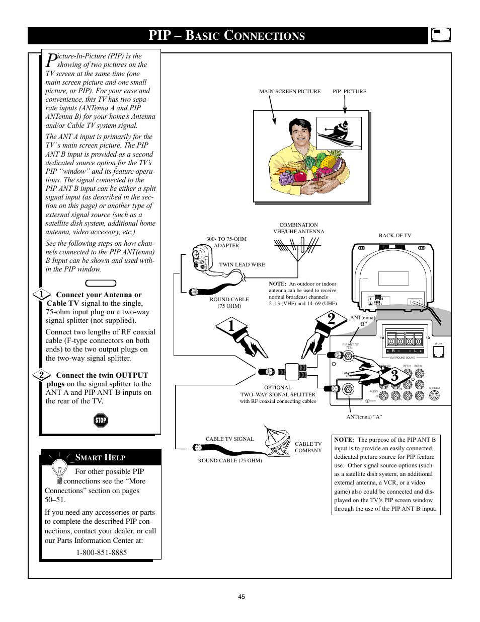 Pip – b, Asic, Onnections | Philips 32PT91S1 User Manual | Page 45 / 55