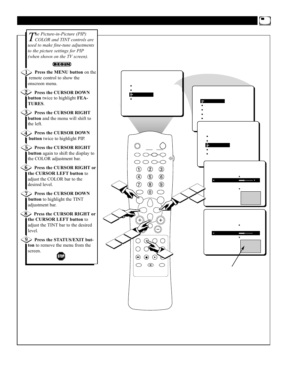 Pip – a, Djusting the, Olor and | Philips 3121 235 20301 User Manual | Page 45 / 52