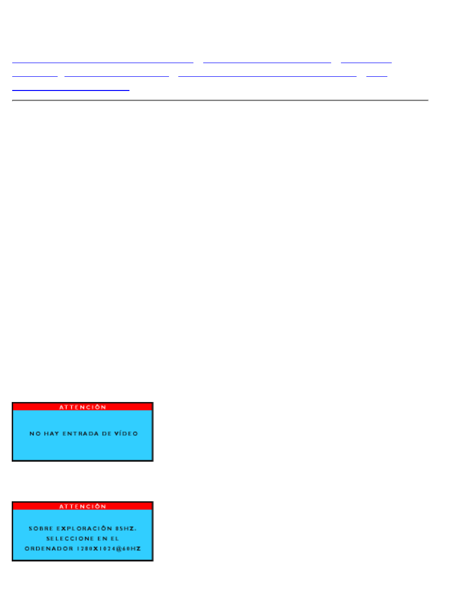 Resolución de problemas | Philips 170S2B User Manual | Page 31 / 81