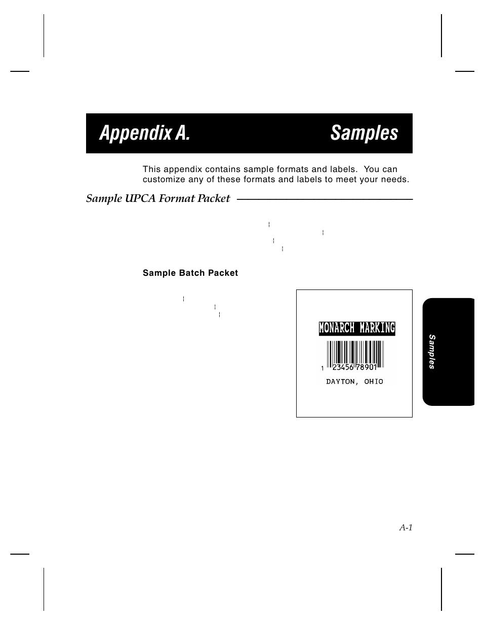 Appendix a. samples, Sample upca format packet | Pitney Bowes J640 User Manual | Page 226 / 267