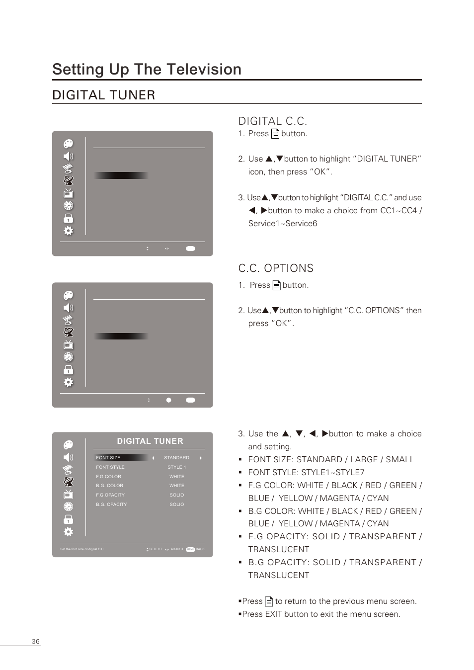 Setting up the television, Digital c.c, C.c. options | Digital tuner | Proton CS-32 User Manual | Page 37 / 63