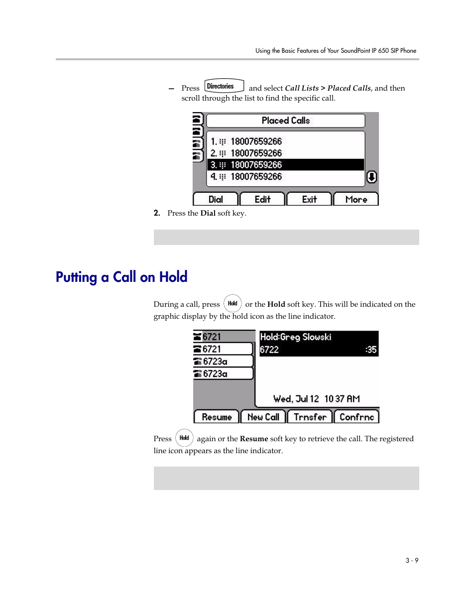 Putting a call on hold, Putting a call on hold –9 | Polycom IP 650 User Manual | Page 49 / 94