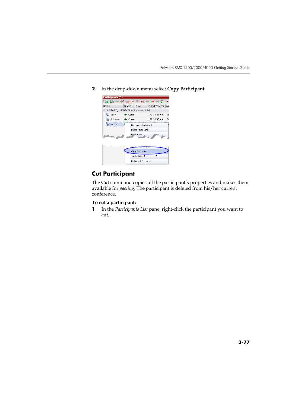 Cut participant | Polycom DOC2560A User Manual | Page 155 / 188