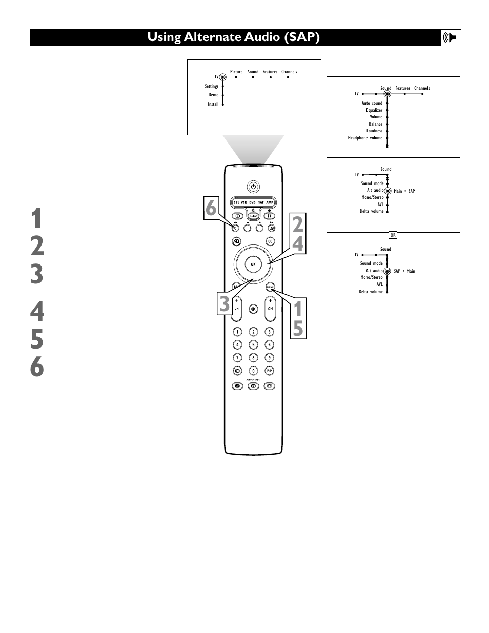 Using alternate audio (sap) | Polycom 55PP9753 User Manual | Page 43 / 80